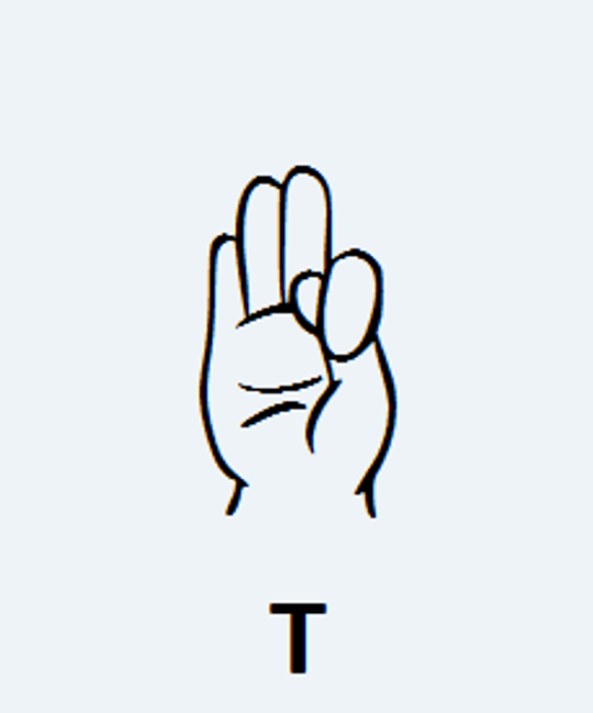 T em Língua de Sinais